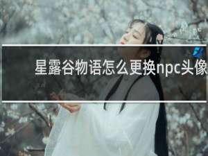 星露谷物语怎么更换npc头像
