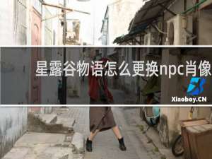 星露谷物语怎么更换npc肖像
