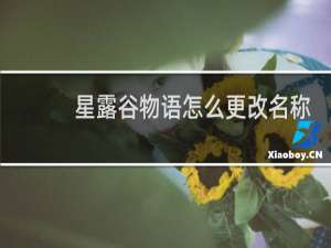 星露谷物语怎么更改名称