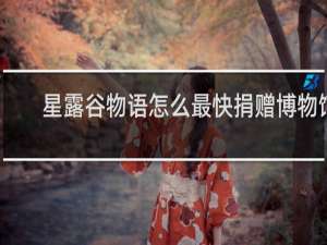 星露谷物语怎么最快捐赠博物馆