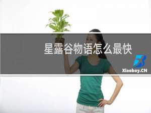 星露谷物语怎么最快