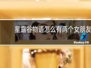 星露谷物语怎么有两个女朋友