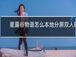 星露谷物语怎么本地分屏双人玩