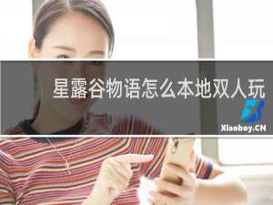 星露谷物语怎么本地双人玩