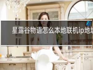 星露谷物语怎么本地联机ip地址