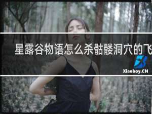 星露谷物语怎么杀骷髅洞穴的飞虫