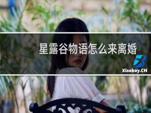 星露谷物语怎么来离婚