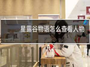 星露谷物语怎么查看人物