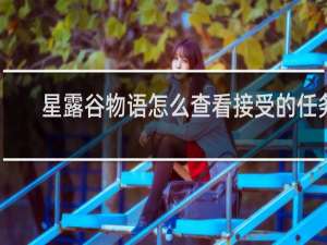 星露谷物语怎么查看接受的任务