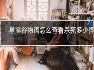 星露谷物语怎么查看杀死多少怪物