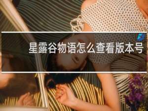 星露谷物语怎么查看版本号