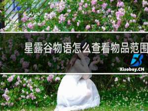 星露谷物语怎么查看物品范围