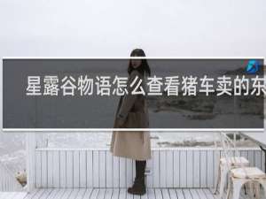 星露谷物语怎么查看猪车卖的东西