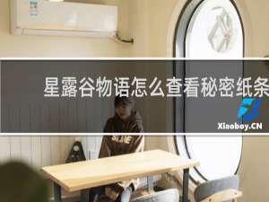 星露谷物语怎么查看秘密纸条