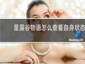 星露谷物语怎么查看自身状态