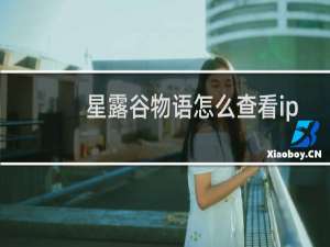 星露谷物语怎么查看ip