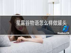 星露谷物语怎么样做罐头