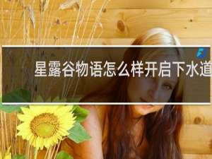 星露谷物语怎么样开启下水道