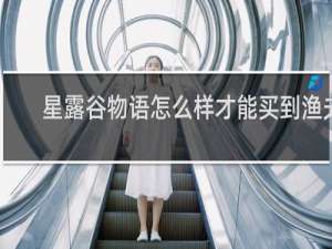 星露谷物语怎么样才能买到渔夫