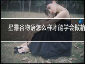 星露谷物语怎么样才能学会做箱子