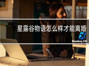 星露谷物语怎么样才能离婚