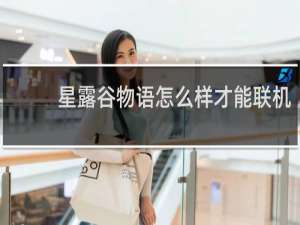 星露谷物语怎么样才能联机