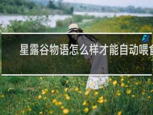 星露谷物语怎么样才能自动喂食