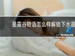 星露谷物语怎么样解锁下水道