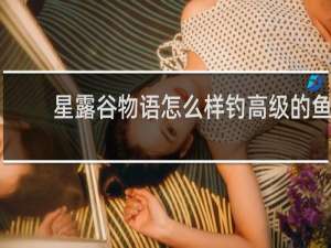 星露谷物语怎么样钓高级的鱼