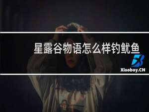 星露谷物语怎么样钓鱿鱼