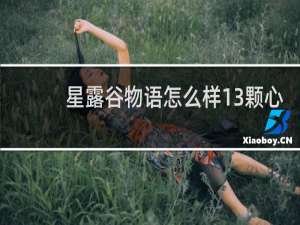星露谷物语怎么样13颗心