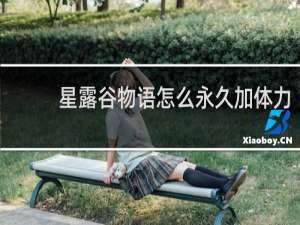 星露谷物语怎么永久加体力