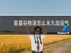 星露谷物语怎么永久加运气