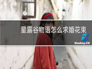 星露谷物语怎么求婚花束