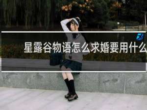 星露谷物语怎么求婚要用什么