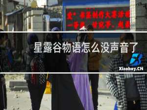 星露谷物语怎么没声音了