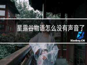 星露谷物语怎么没有声音了
