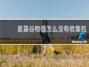 星露谷物语怎么没有收集包