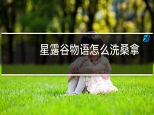 星露谷物语怎么洗桑拿