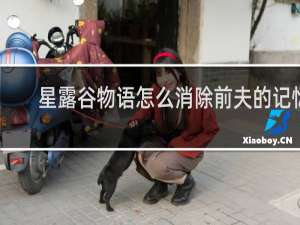 星露谷物语怎么消除前夫的记忆