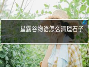 星露谷物语怎么清理石子