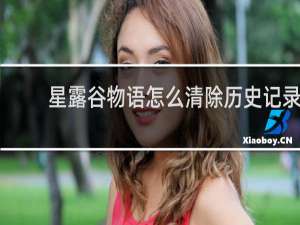 星露谷物语怎么清除历史记录