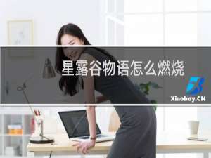 星露谷物语怎么燃烧