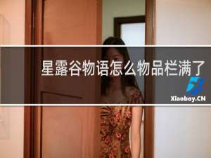 星露谷物语怎么物品栏满了