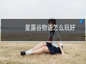 星露谷物语怎么玩好