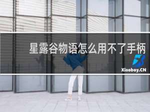 星露谷物语怎么用不了手柄