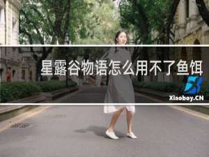 星露谷物语怎么用不了鱼饵