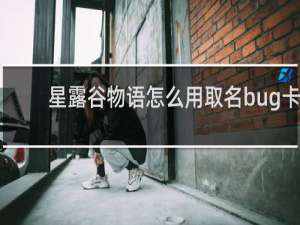 星露谷物语怎么用取名bug卡