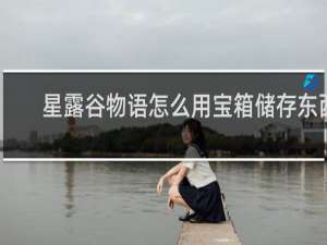 星露谷物语怎么用宝箱储存东西