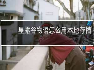 星露谷物语怎么用本地存档